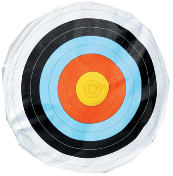 Skirted 80cm Face for Arrowstop Round Target