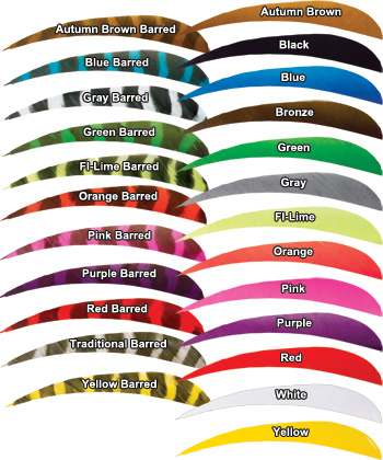 TrueFlight Parabolic Cut Arrow Feathers