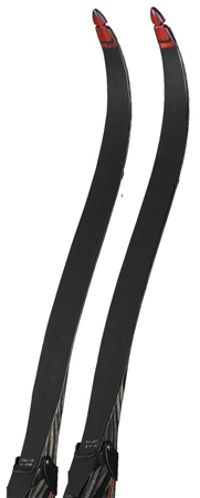 Bear Takedown  Recurve Limbs