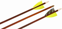 Angel Youth Arrows