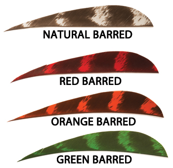 TrueFlight 3&frac12;" Parabolic cut Feathers - Limited Supply
