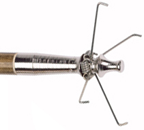 Zwickey Kondor  Stump Shooting  Point Glue-On 145 Grain