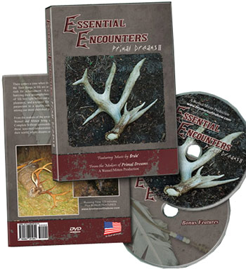 Essential Encounters: Primal Dreams II DVD