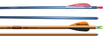 NASP Genesis&trade; V2 Youth Arrows