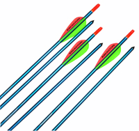NASP Genesis  Youth Arrows 6-pack