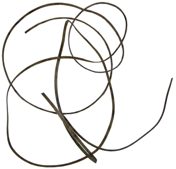 Dried Rawhide Lace, 10'