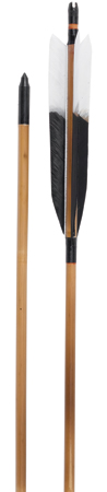 Fletched Bamboo Wood Arrows