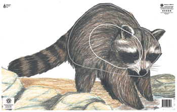 Raccoon Paper Target