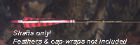 GrizzlyStik Alaskan    Carbon Arrow Shafts 6-Pack