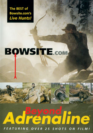 Beyond Adrenaline DVD
