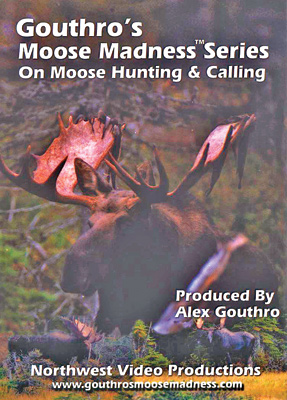 Gouthro's Moose   Madness Series On  Moose Hunting & Call