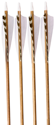 Tred Barta  Wilderness Arrows dz