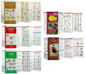 Handy Pocket Guides