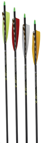 Fletched Epic 600  Carbon Arrows