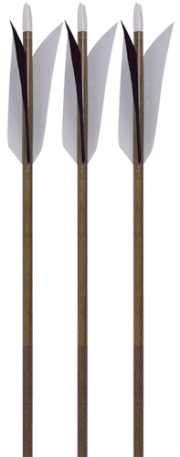 Noggle Stones Arrows 6-pack