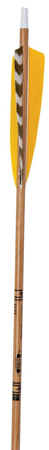 Trading Post Pink Youth Arrows 28", dz