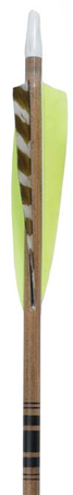 Trading Post 3Rivers Hunters Arrows 30-35, 27.25", dz