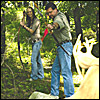 3-D Shoots