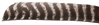 Full Length Natural Barred Turkey Feathers