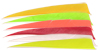 AMG 5'' Shield Feathers