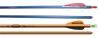NASP Genesis V2 Youth Arrows