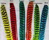 Feathers