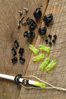 AMS Safety Slide Bowfishing Arrow Kit