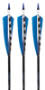 Easton Carbon ION Fletched Arrows, 6-pack