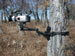 Treestand Accessories