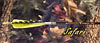 GrizzlyStik Safari  Carbon Arrow Shafts 6-Pack