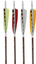 Traditional Only Carbon Arrows