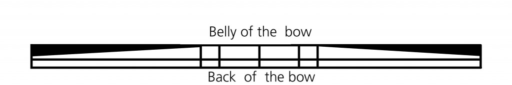 Back Belly