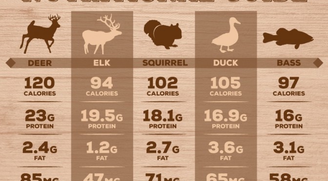 Outdoorsmen Infographic - Wild Game Nutritional Guide