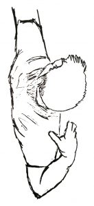 Archer Follow Through