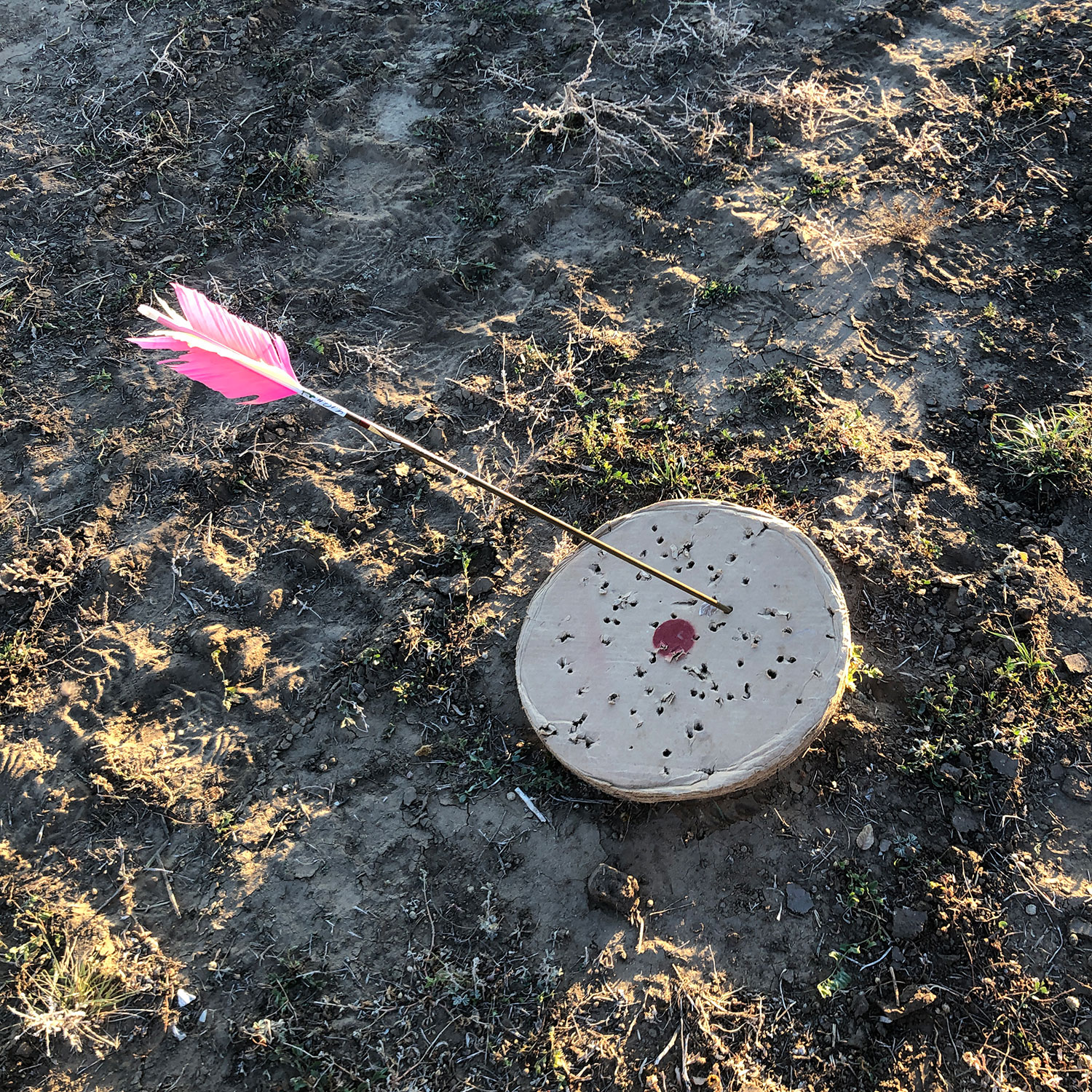 3Rivers Archery, Author at Archer's Den 3Rivers Archery Blog Page 3