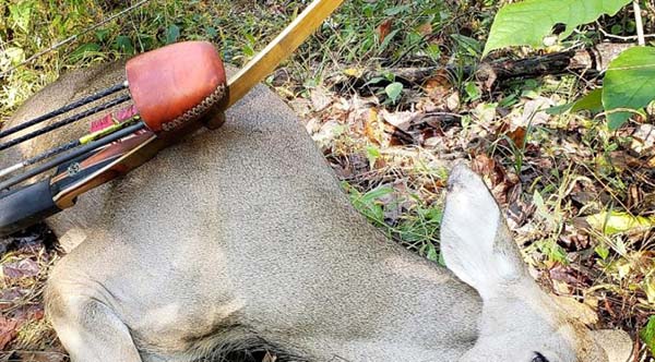 2021 Whitetail Deer Doe taken in Indiana