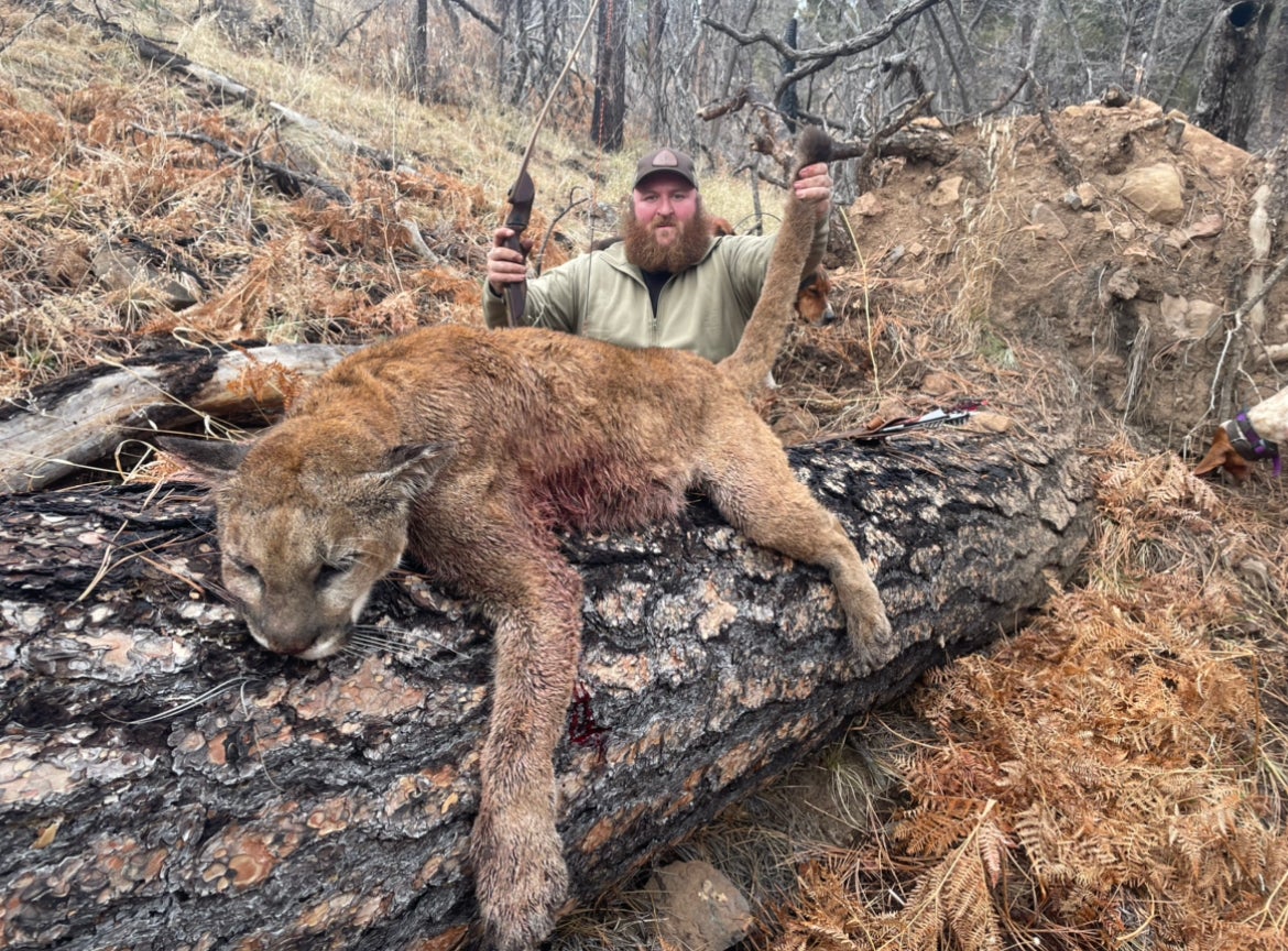 Jeremiah Gaffney's Cougar from New Mexico in 2022