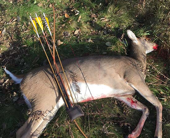 Jon West 2018 Indiana Whitetail Deer 1