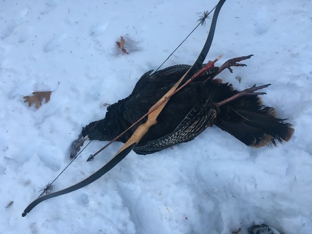 Brian Turkey 2019 CT