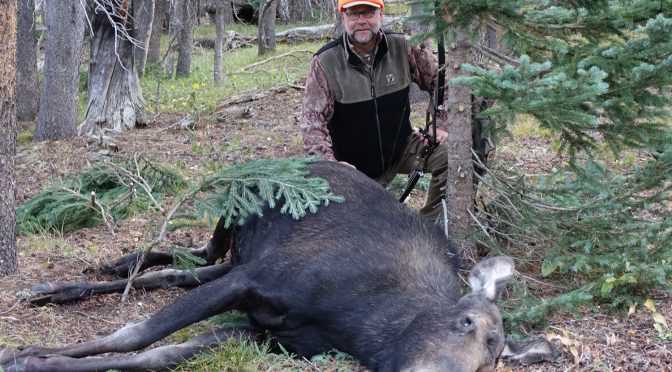 Dale Karch Colorado Moose 2017