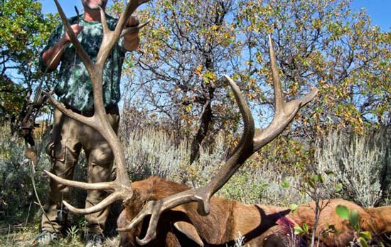 Dale Karch 2018 Colorado Elk