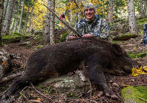 Errol Bendstead 2017 Wild Hog