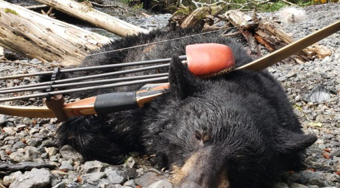 Alaska Black Bear 2019 with Tomahawk Bow