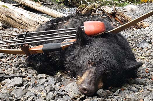 Alaska Black Bear 2019 with Tomahawk Bow