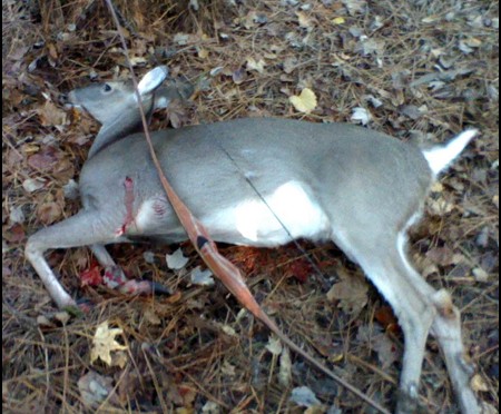 Daniel Russ 2015 North Carolina Whitetail Deer