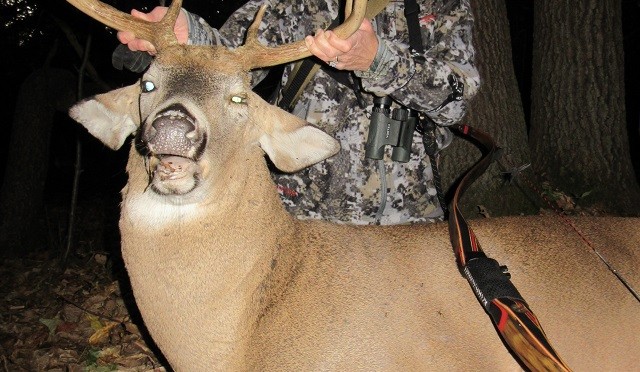 Marie Sturgis 2015 Michigan Whitetail Deer