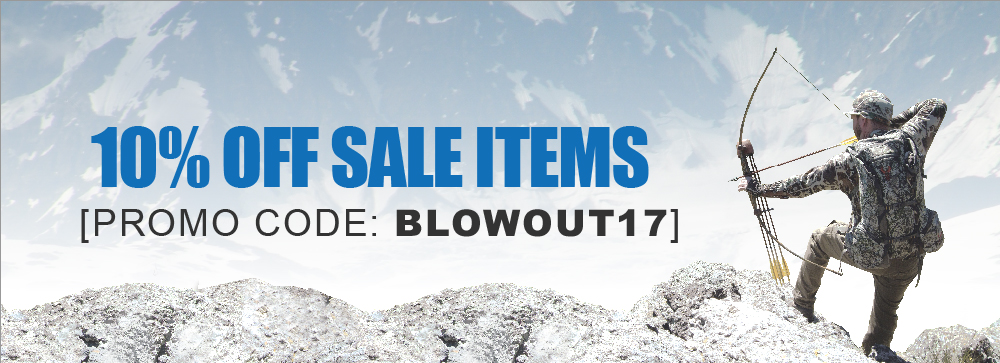 10% Off Sale Items. Promo Code: BLOWOUT17