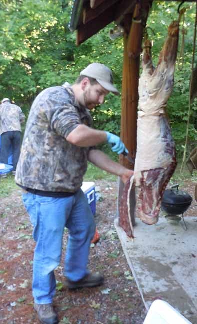 Field dressing my bear