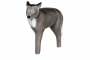 Real Wild 3D Grey Coyote Target Thumbnail Image 2