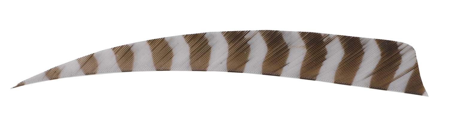 Full Length Natural Barred Wild Turkey Feathers